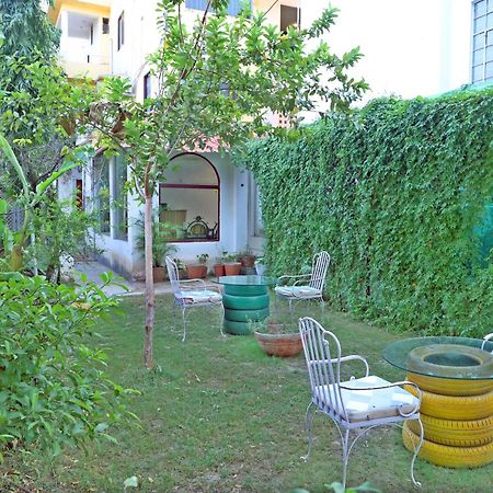 Hotel Tree Of Heaven Udaipur Exterior photo